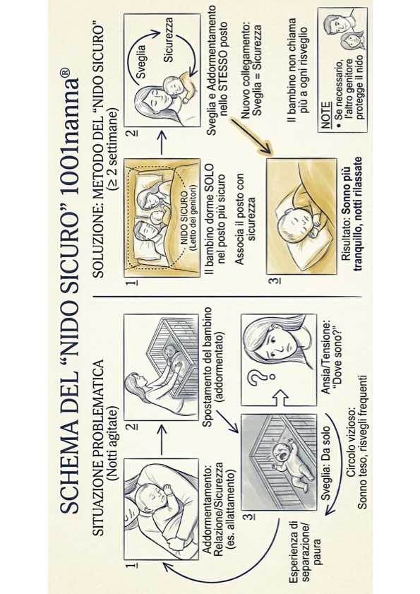 Schema Il Nido Sicuro 1001nanna®